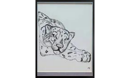 Face of a tiger with black and white art work